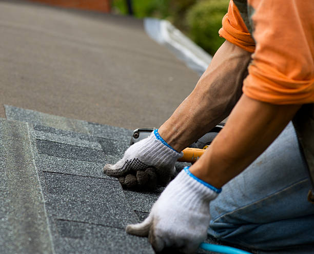 Best Gutter Installation and Roofing  in Douglas, AL