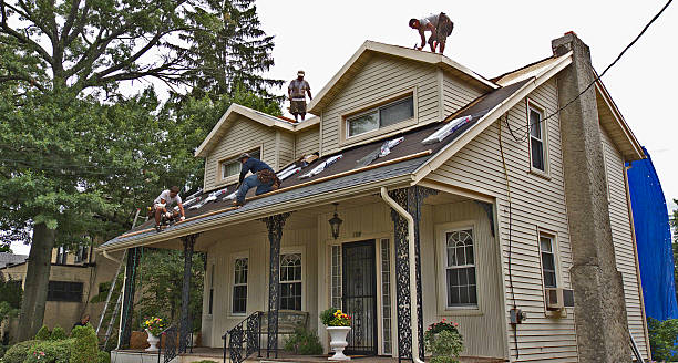Best Roof Leak Repair  in Douglas, AL